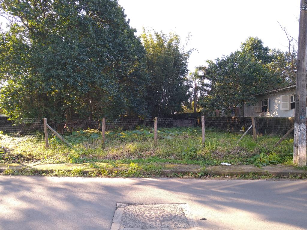 Terreno