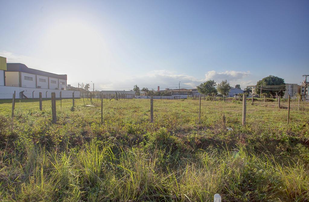 Terreno