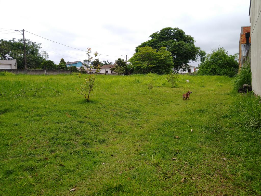 Terreno