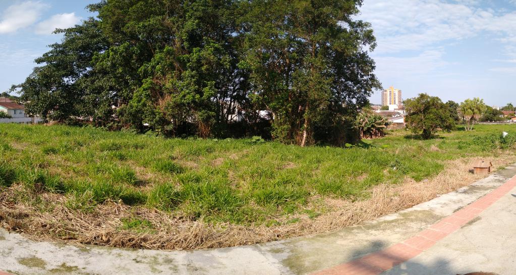 Terreno