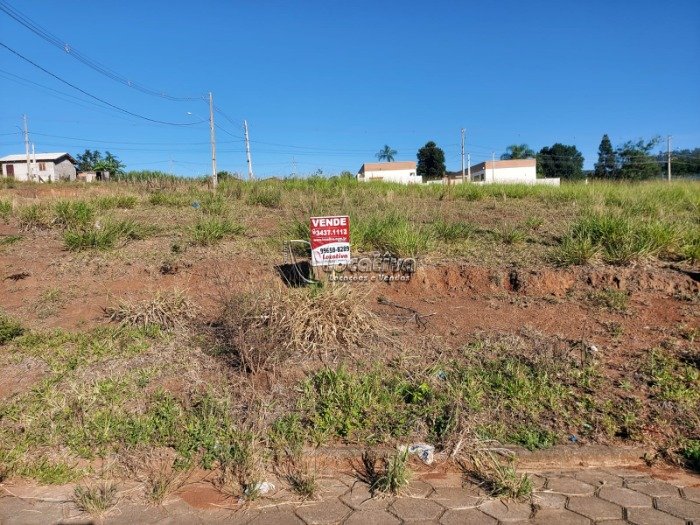 Terreno