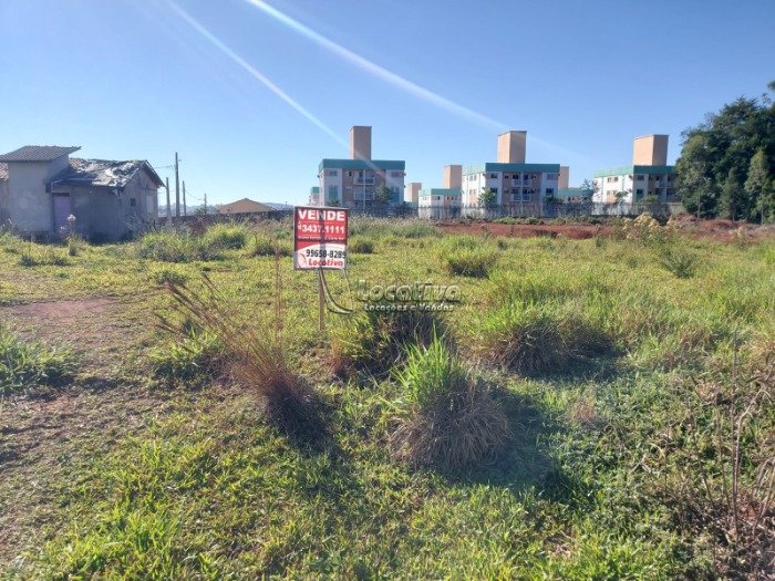 Terreno