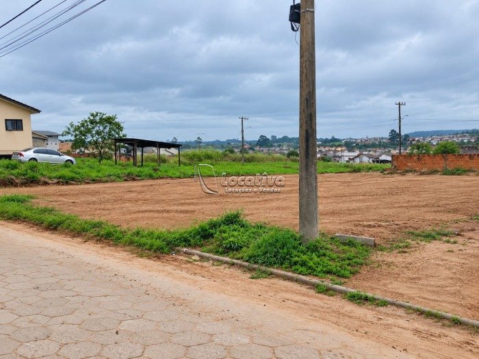 Terreno